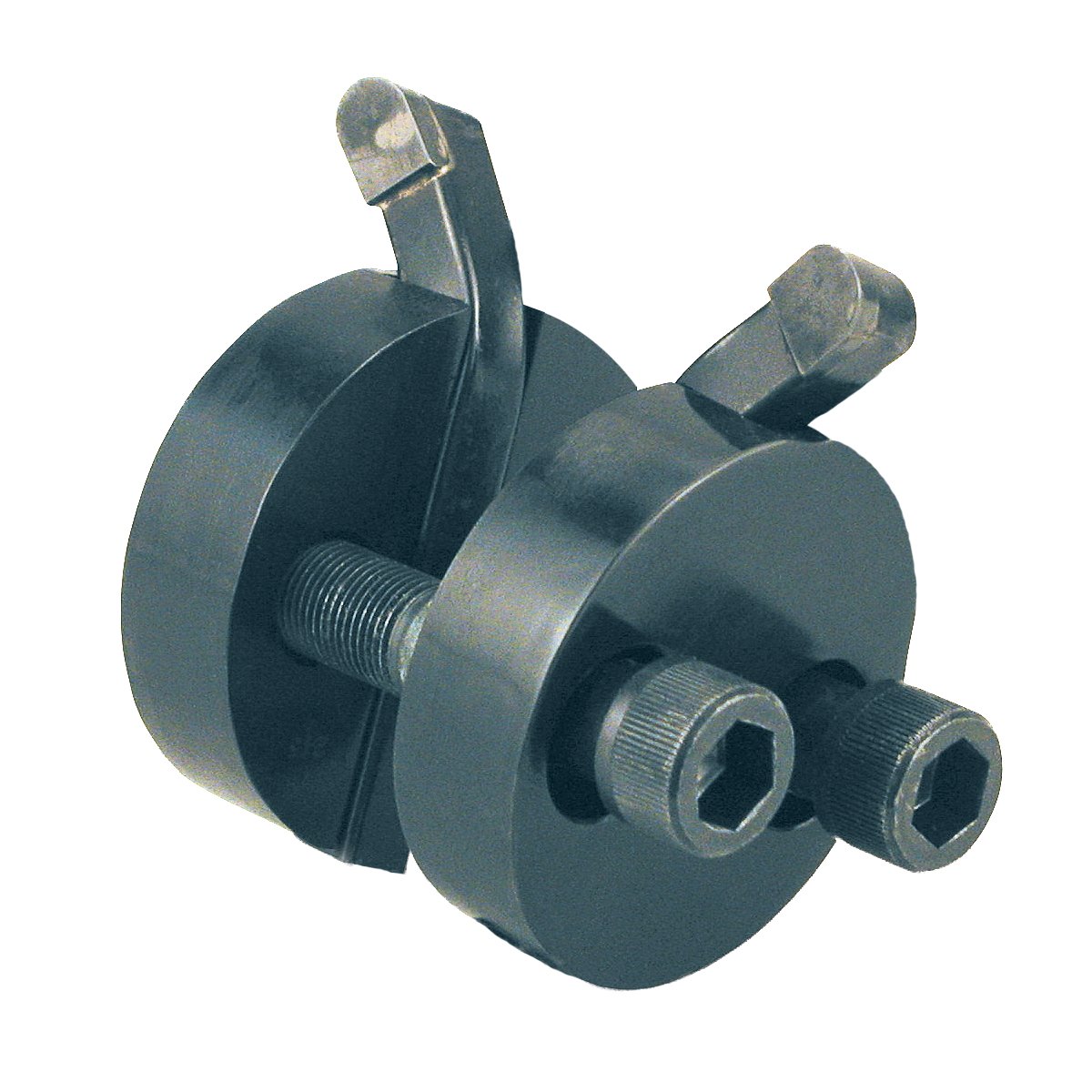 Regular 1/2" Stump Grinder Teeth Products — leonarditreecare