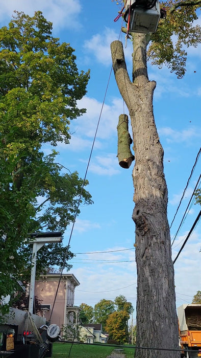 rigging bucket truck