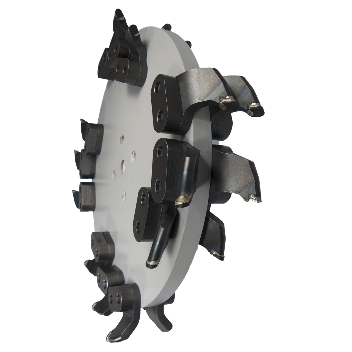 Rayco RG37 Trac Jr Stump Grinder Teeth — leonarditreecare